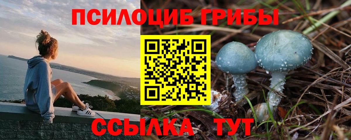 Галлюциногенные грибы ЛСД  Вход с VPN  Псилоцибиновые грибы Psilocybine cubensis  Лыткарино 